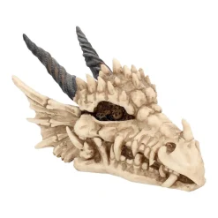 Drachenschädel-Aufbewahrungsbox