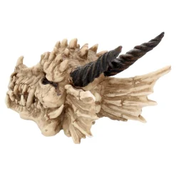 Drachenschädel-Aufbewahrungsbox