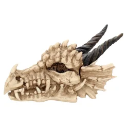 Drachenschädel-Aufbewahrungsbox