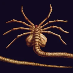 Facehugger-Multifunktionstuch