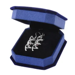 Geek Gem DNS-Ohrringe