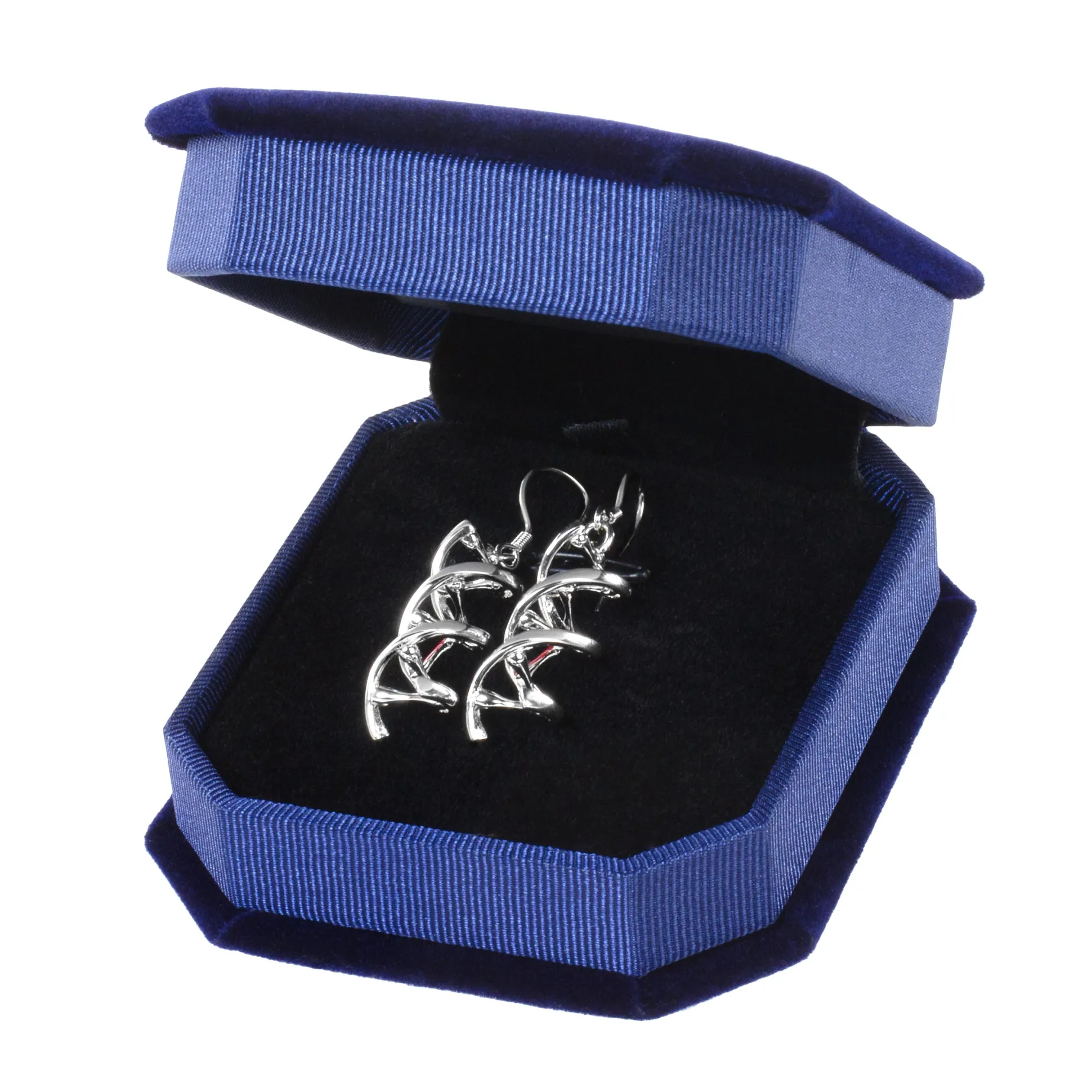 Geek Gem DNS-Ohrringe