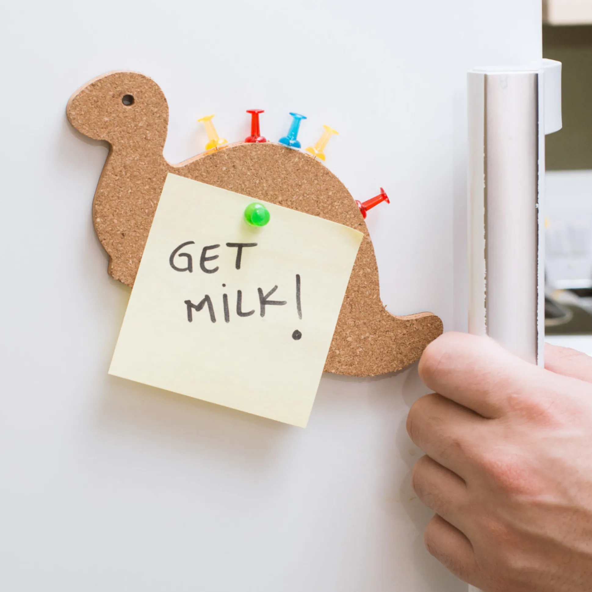 Magnetische Kork-Pinnwand - Dinosaurier