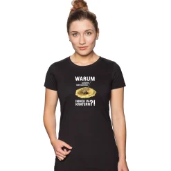 Meteoriten in Kratern