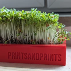 Microgreens Starter Kit
