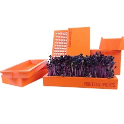 Microgreens Starter Kit