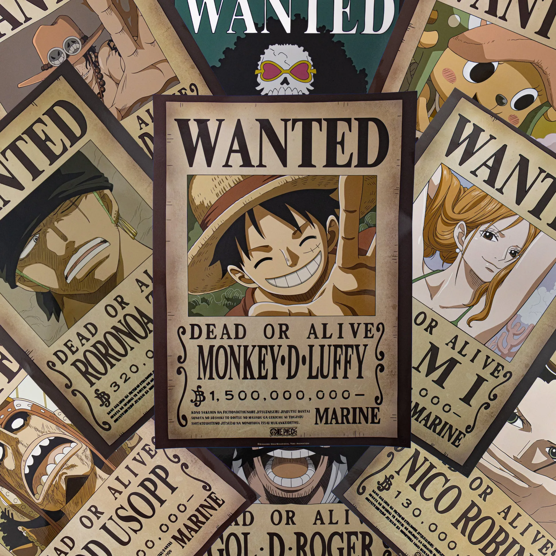 One Piece "Wanted" Poster