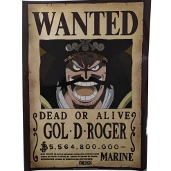 One Piece "Wanted" Poster