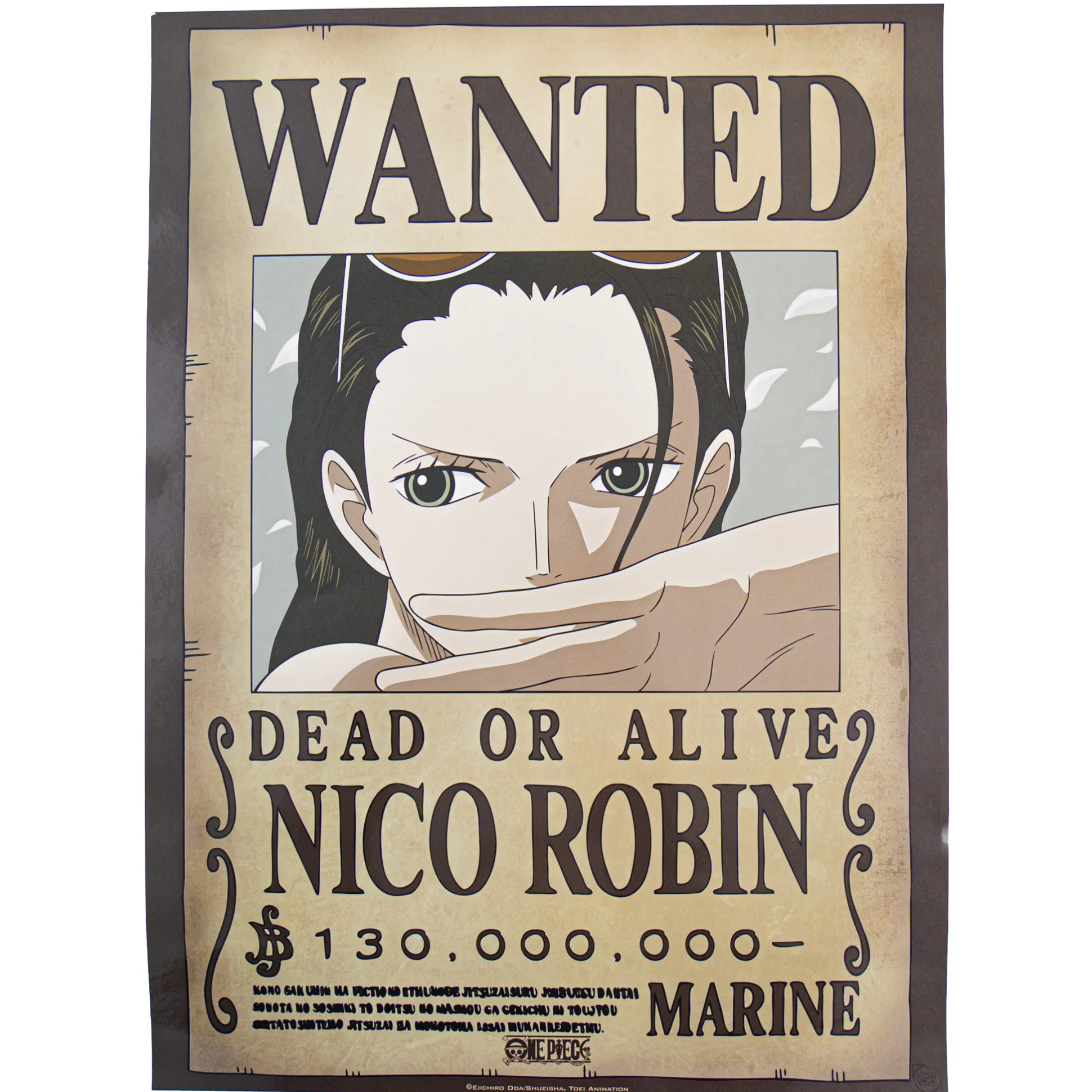 One Piece "Wanted" Poster