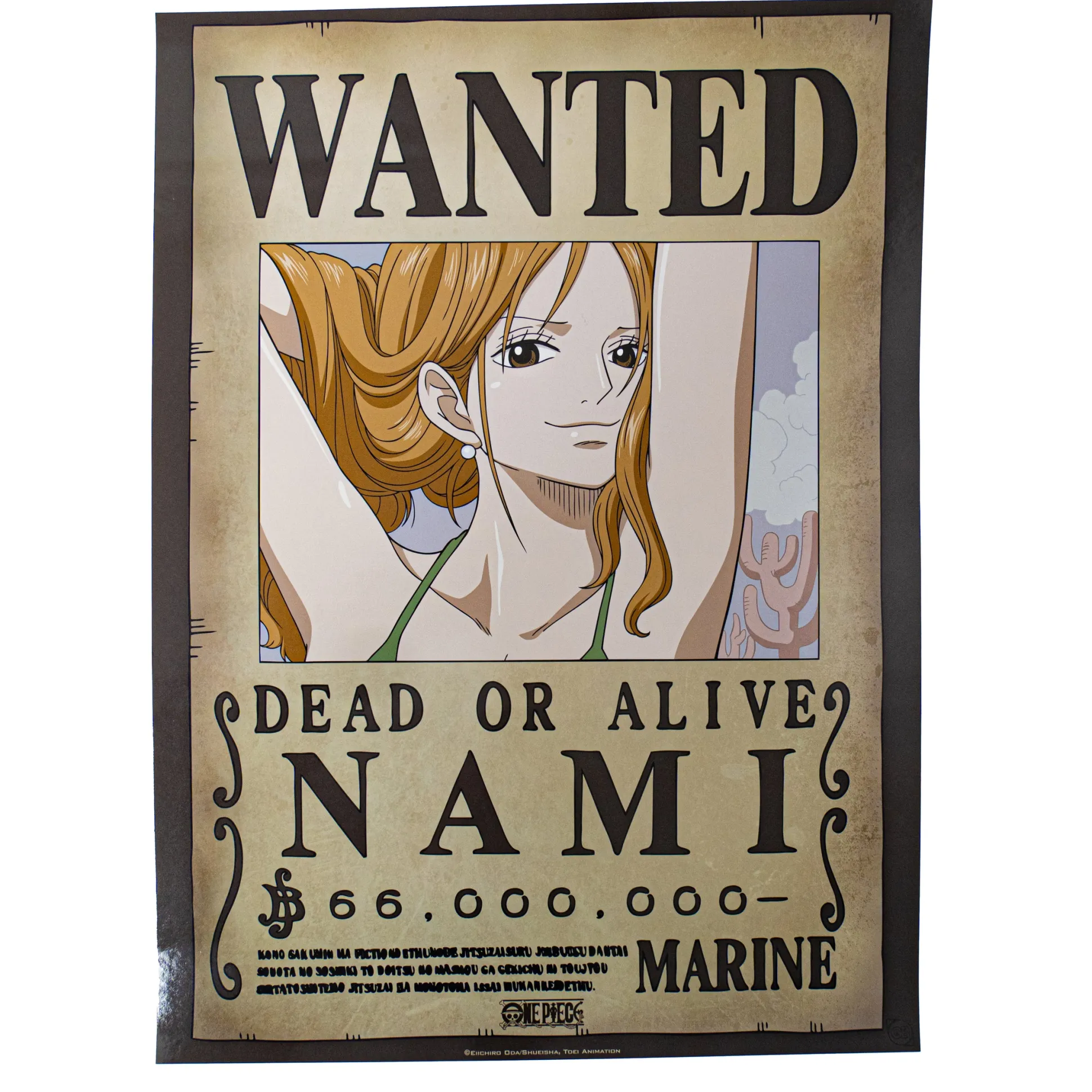 One Piece "Wanted" Poster