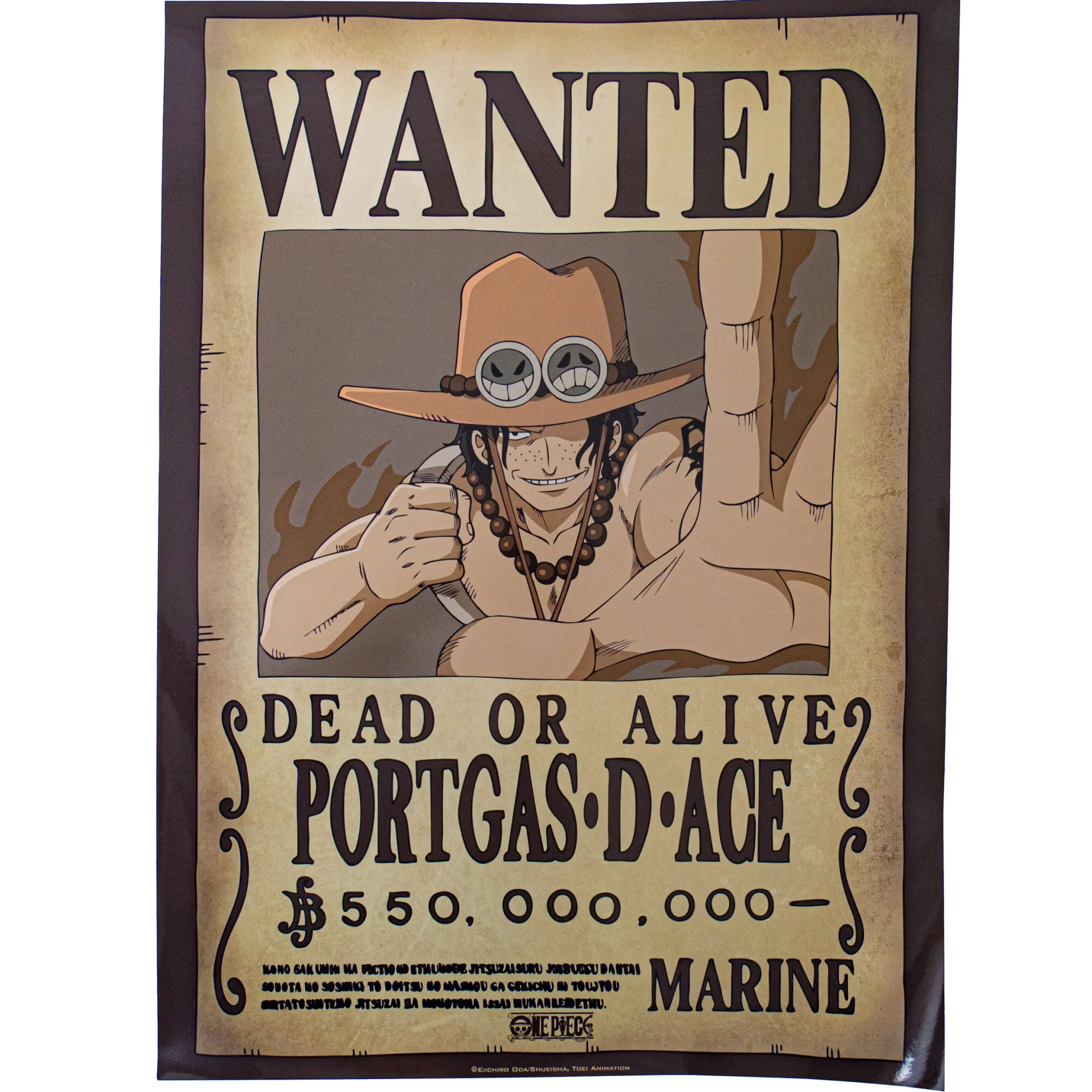One Piece "Wanted" Poster