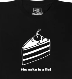 the cake is a lie
